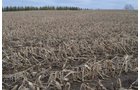 Property photo 12 - 98+/- Acres Offered in 6 Tracts or Combinations, Noble County, Indiana Farm